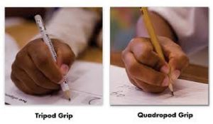 It is important for your child to have a useful grasp to become efficient with writing and coloring. Two grips are illustrated: Tripod Grip and Quadropod Grip. An occupational therapist can help to evaluate fine motor skills of your child and recommend if a grip is